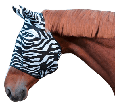 Darwin Vliegenmasker zebra - Nena's Pets