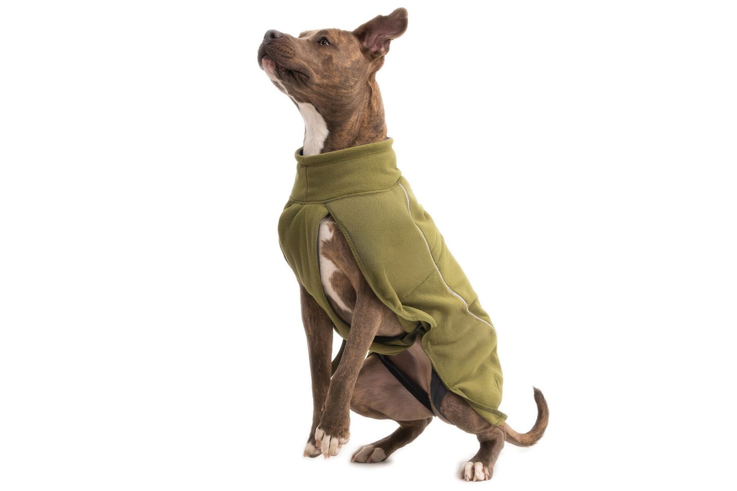 Ruffwear Climate Changer Fleece Vest