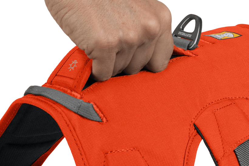 Webmaster Dog Harnass - Nena's Pets