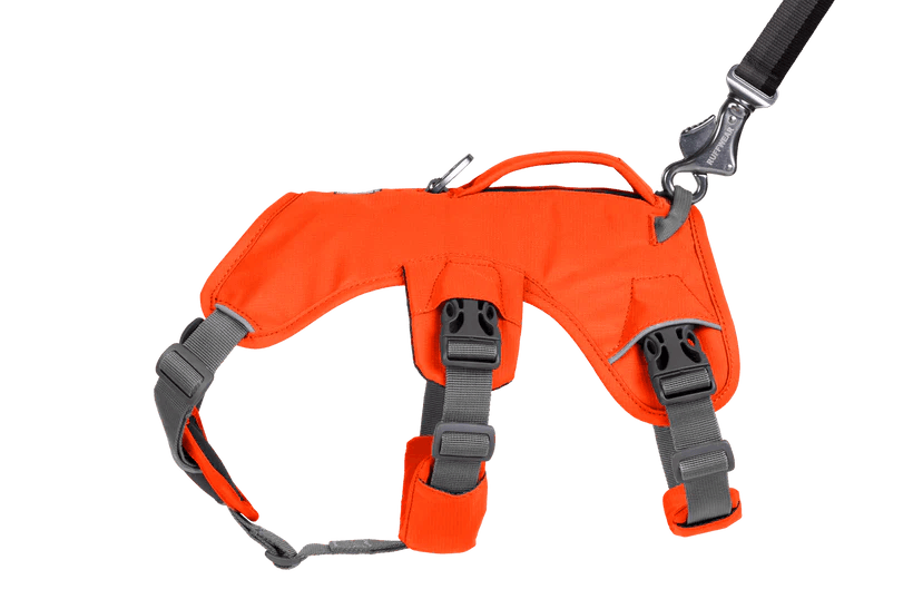 Webmaster Dog Harnass - Nena's Pets