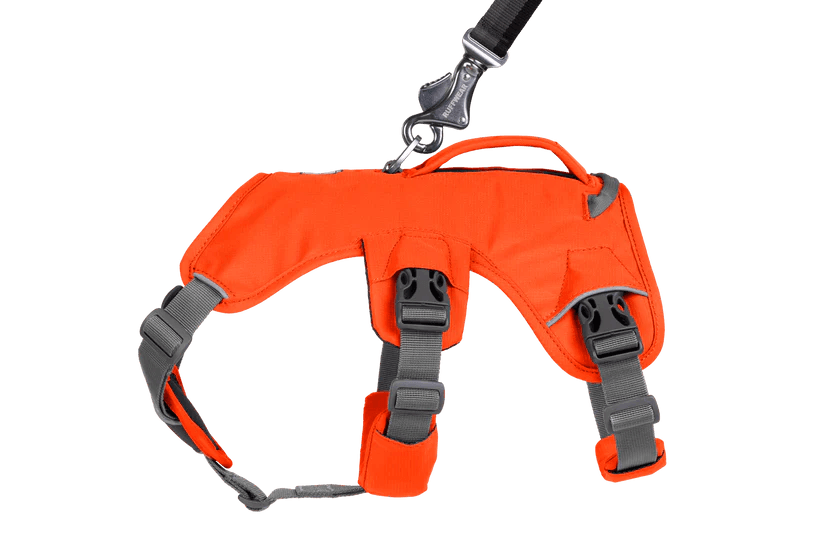 Webmaster Dog Harnass - Nena's Pets