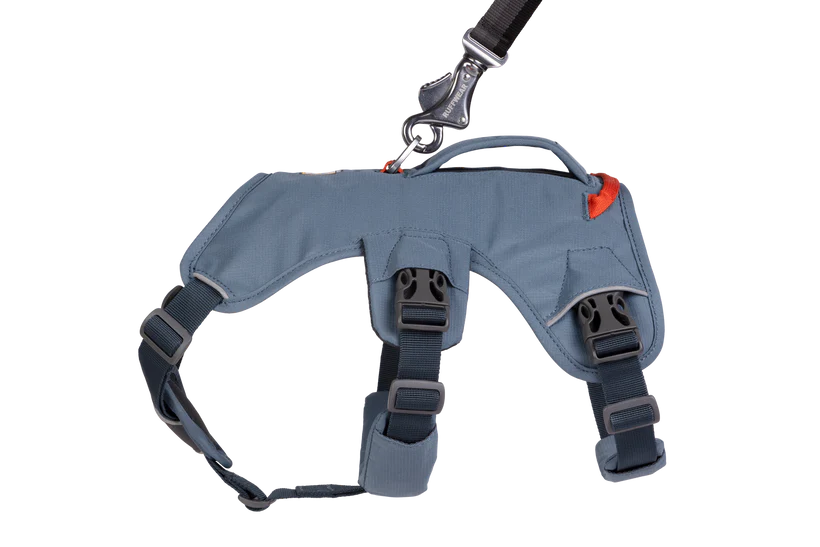 Webmaster Dog Harnass - Nena's Pets