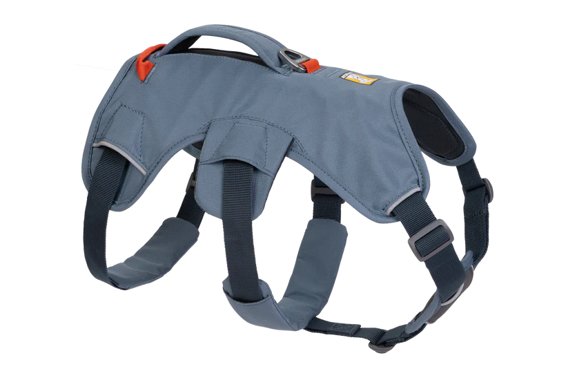 Webmaster Dog Harnass - Nena's Pets