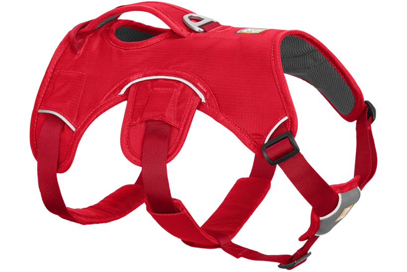 Webmaster Dog Harnass - Nena's Pets