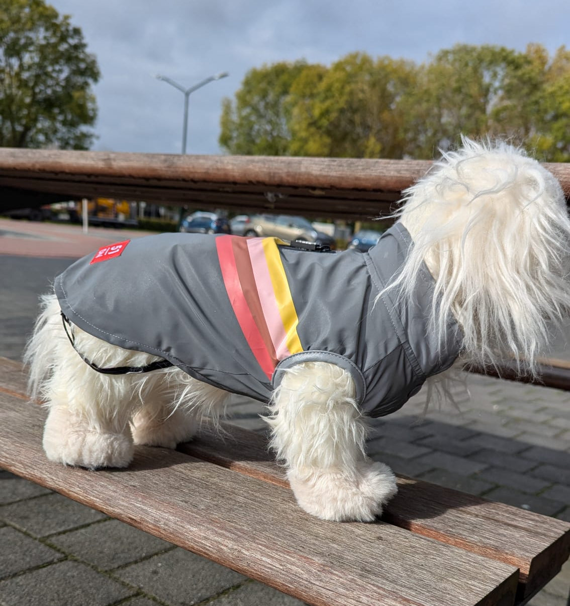 51 Degrees North Reflective coat - Nena's Pets