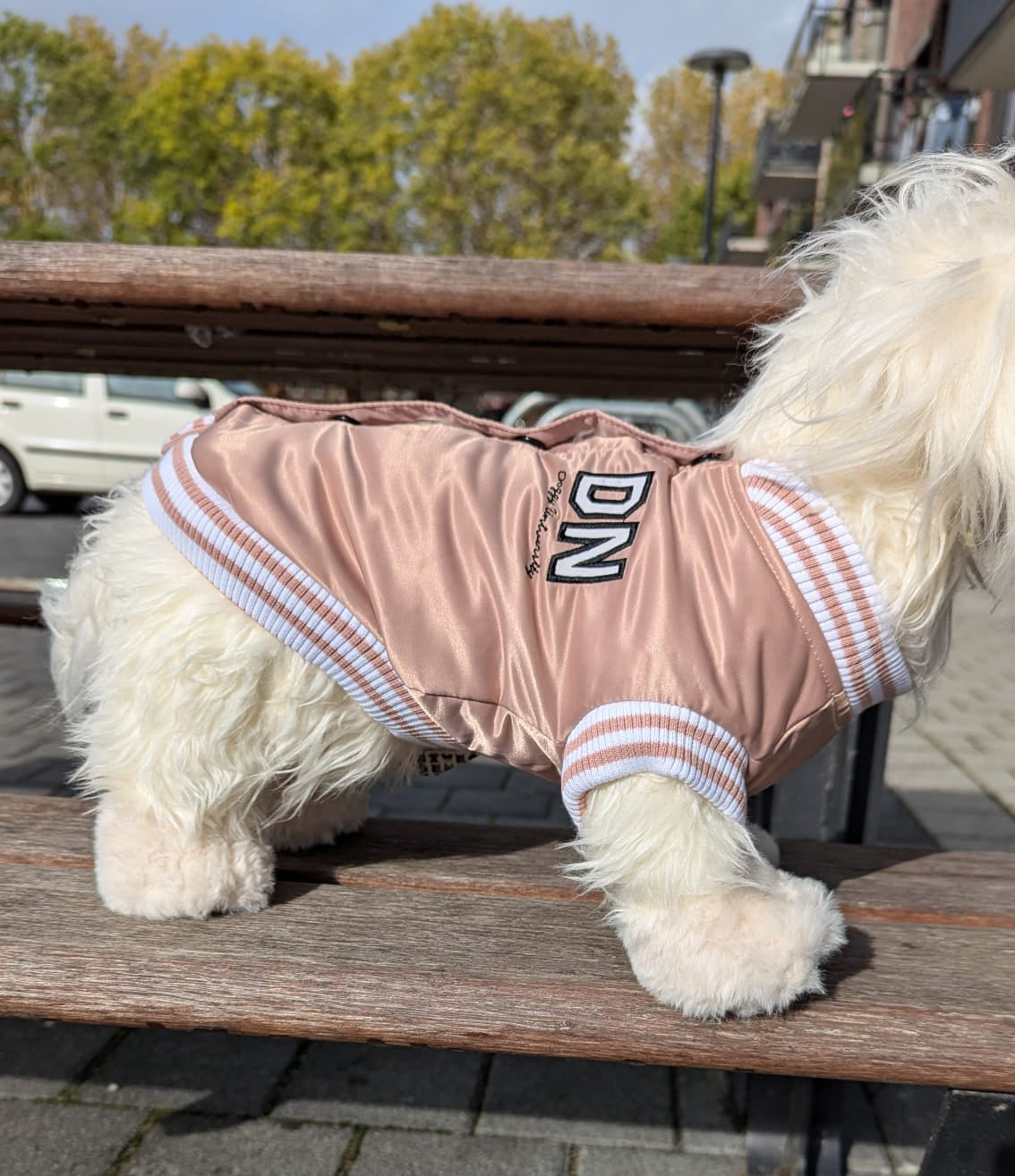 51 Degrees North College jacket - Nena's Pets
