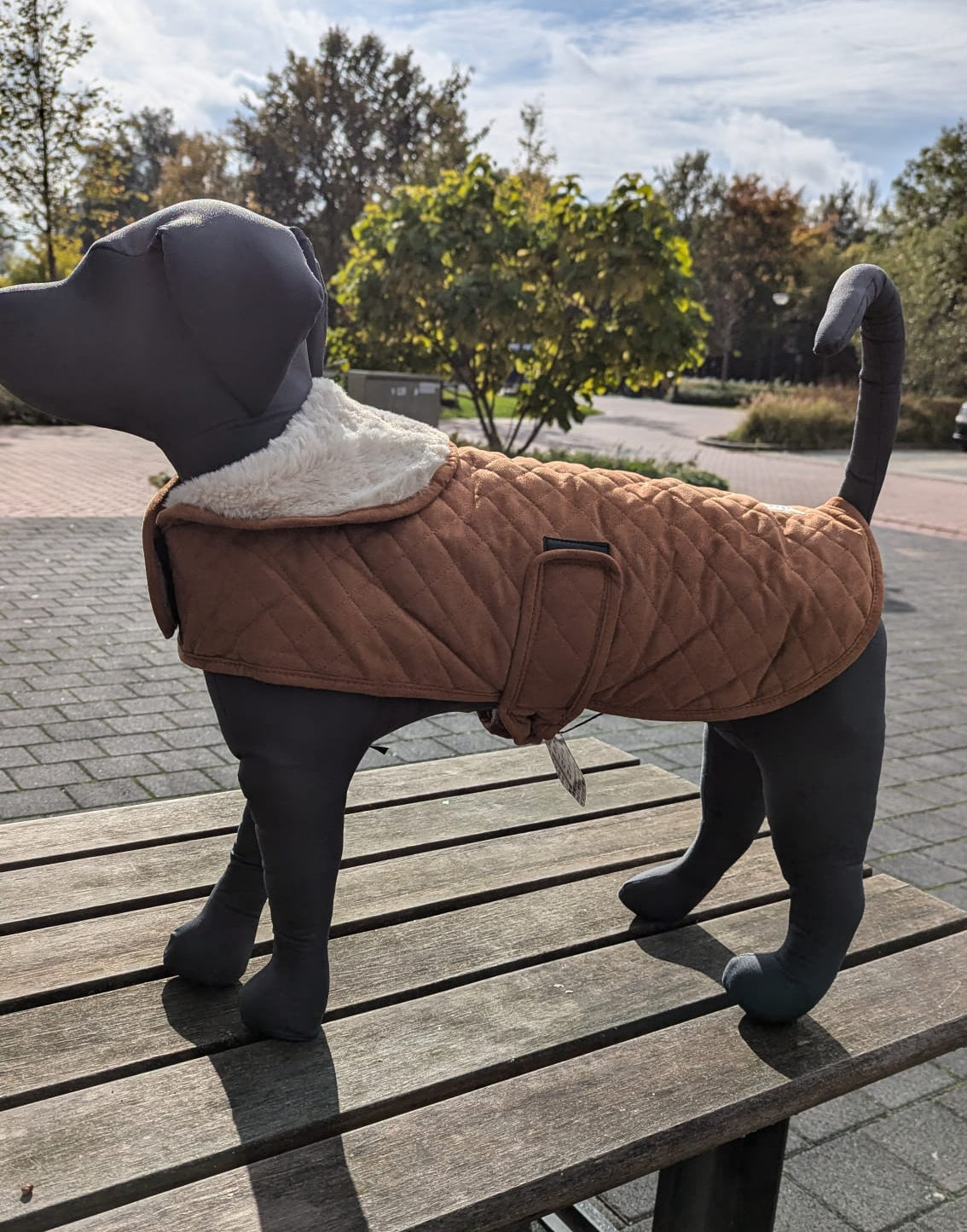 51 Degrees North Wellington Coat - Nena's Pets