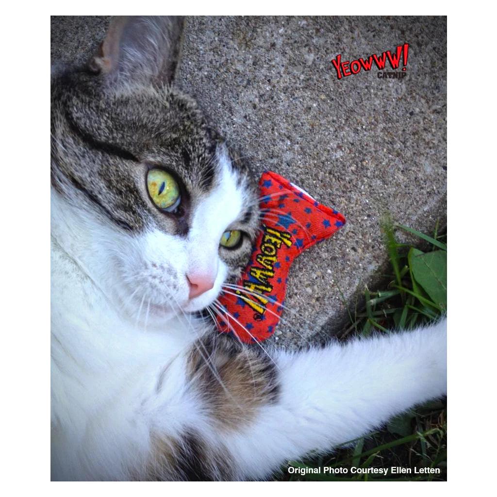 Yeowww! stinkies sardines - Nena's Pets