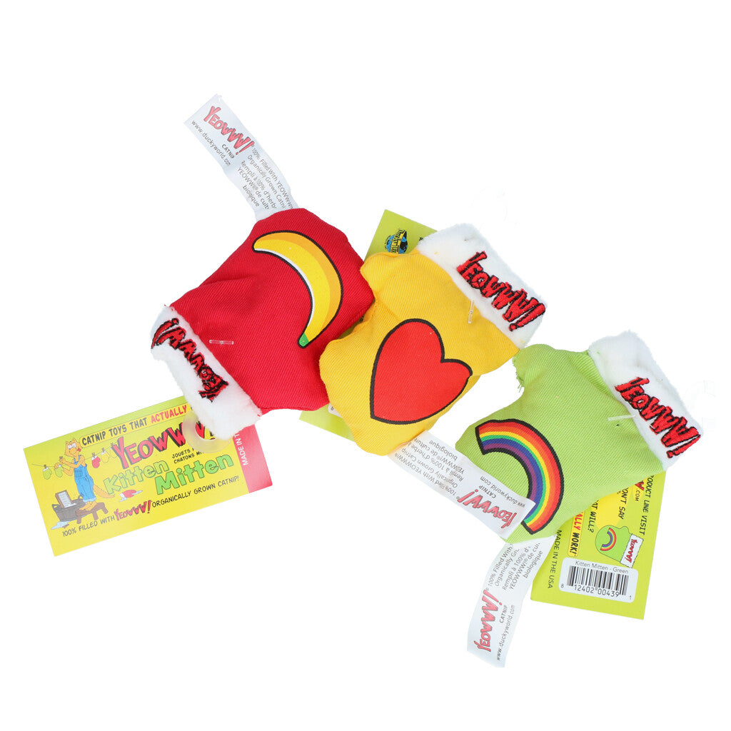 Yeowww! Jug kitten Mittens