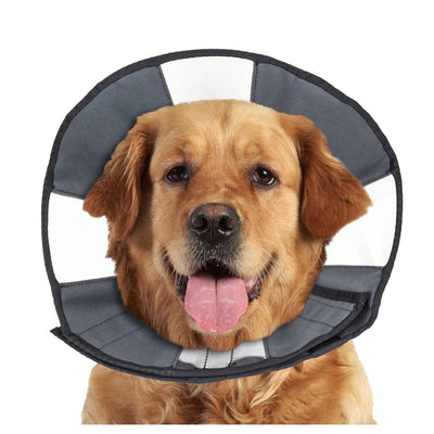 Zenpet Procone kraag - Nena's Pets