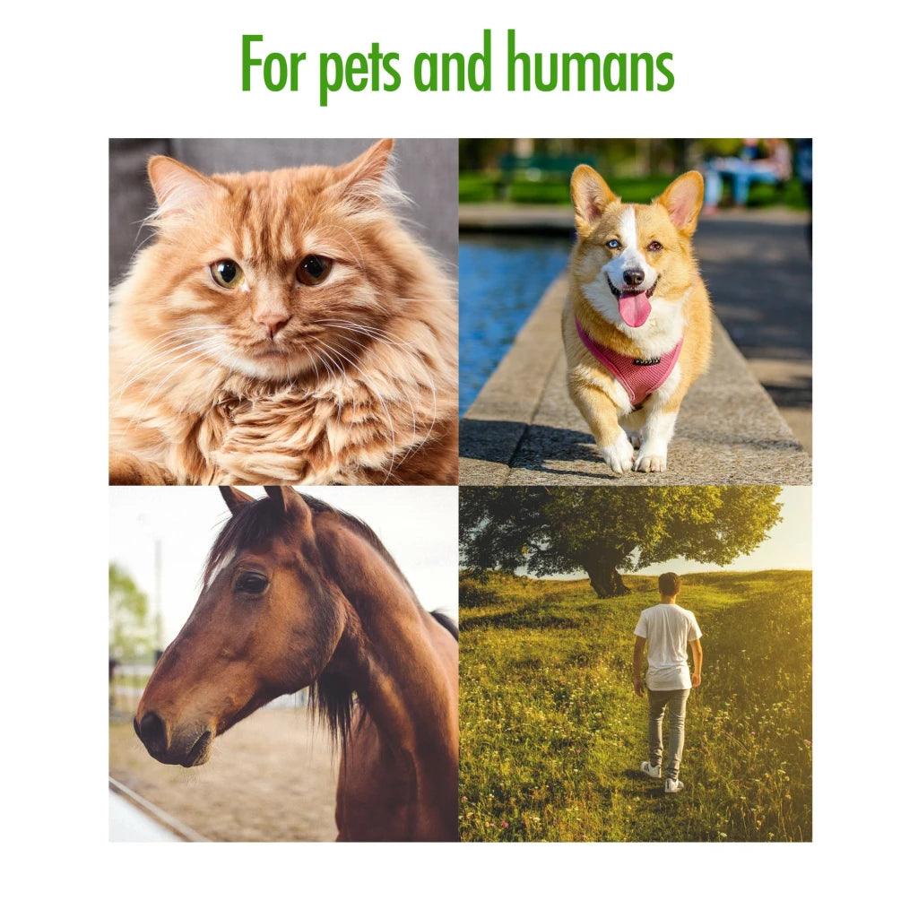 Zenpet Tick Tornado (Tekentang) - Nena's Pets