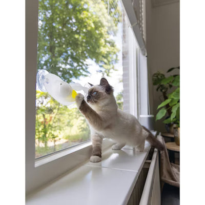 Beeztees Kitten Speelrail Windo