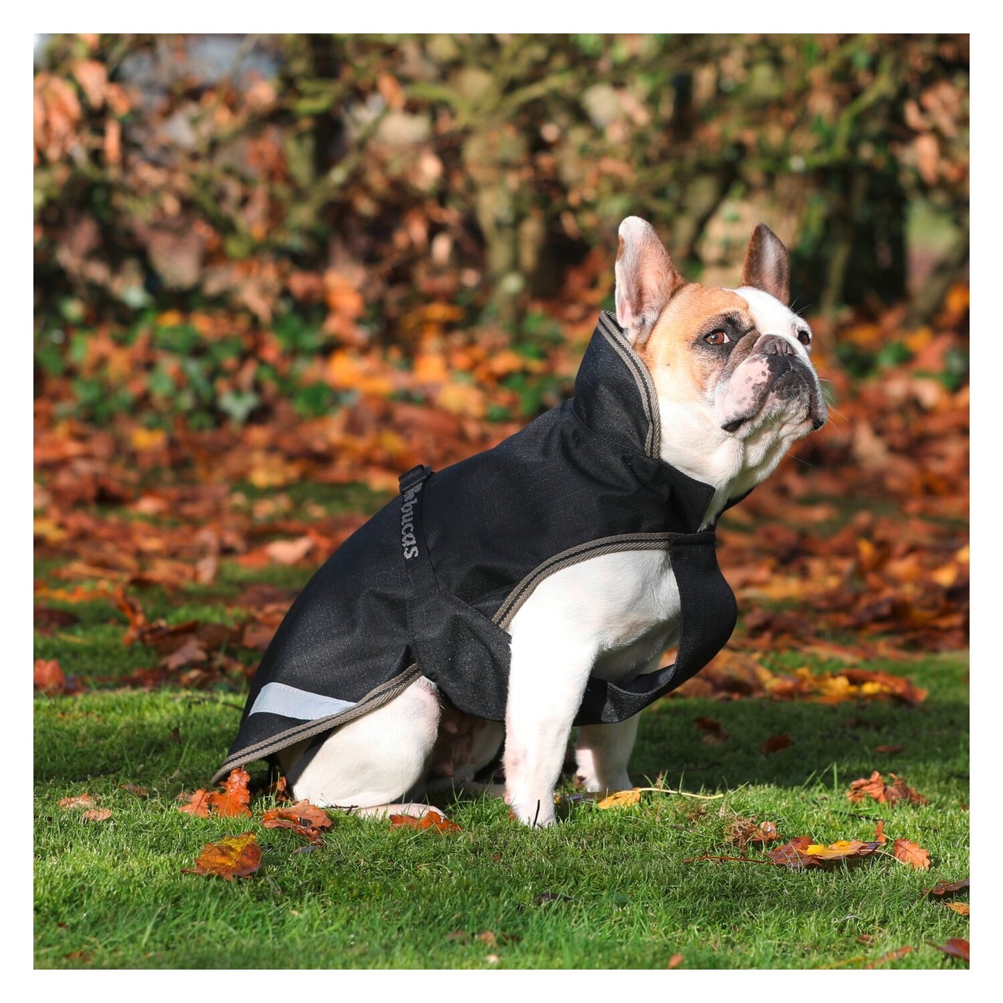 Bucas Freedom Dog Rug Regendeken