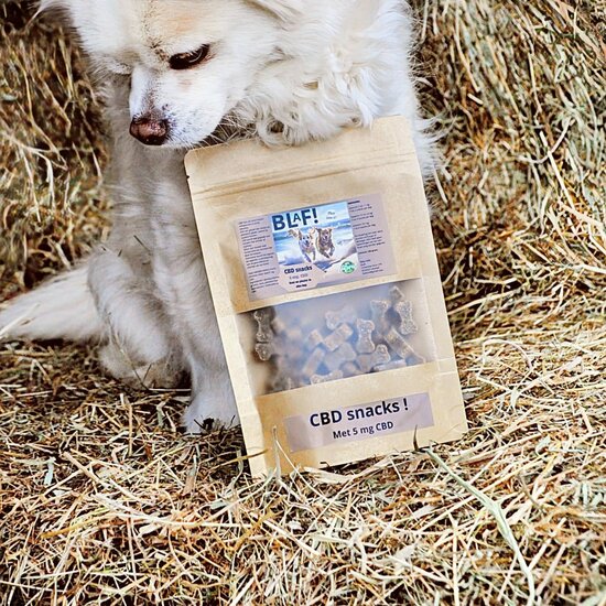 Blaf! CBD Snack