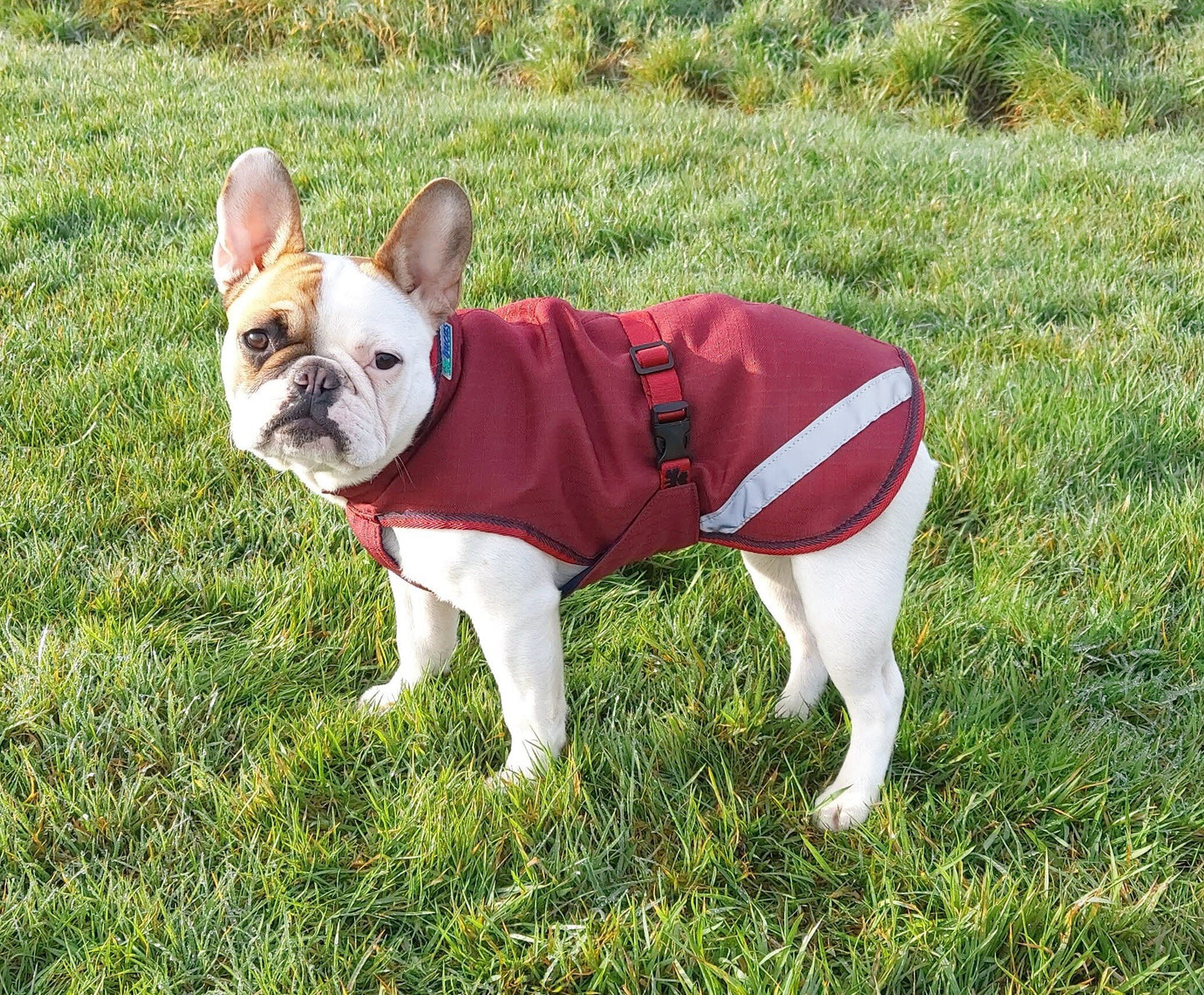 Bucas Freedom Dog Rug Regendeken