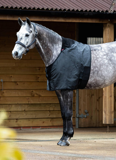 Lemieux anti rub bib borstbeschermer - Nena's Pets