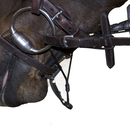 Equi Smart Control