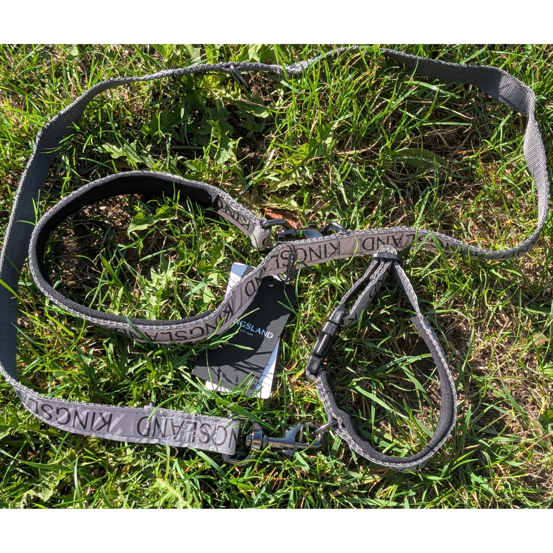 KLMacey halsband en lijn Reflecterend