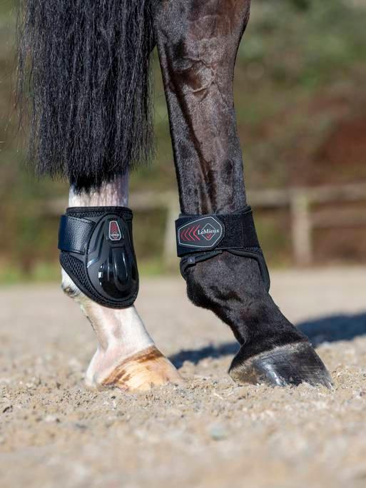 LeMieux Derby ProJump Fetlock boot strijklappen - Nena's Pets