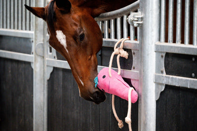 HB Showtime Horse toy