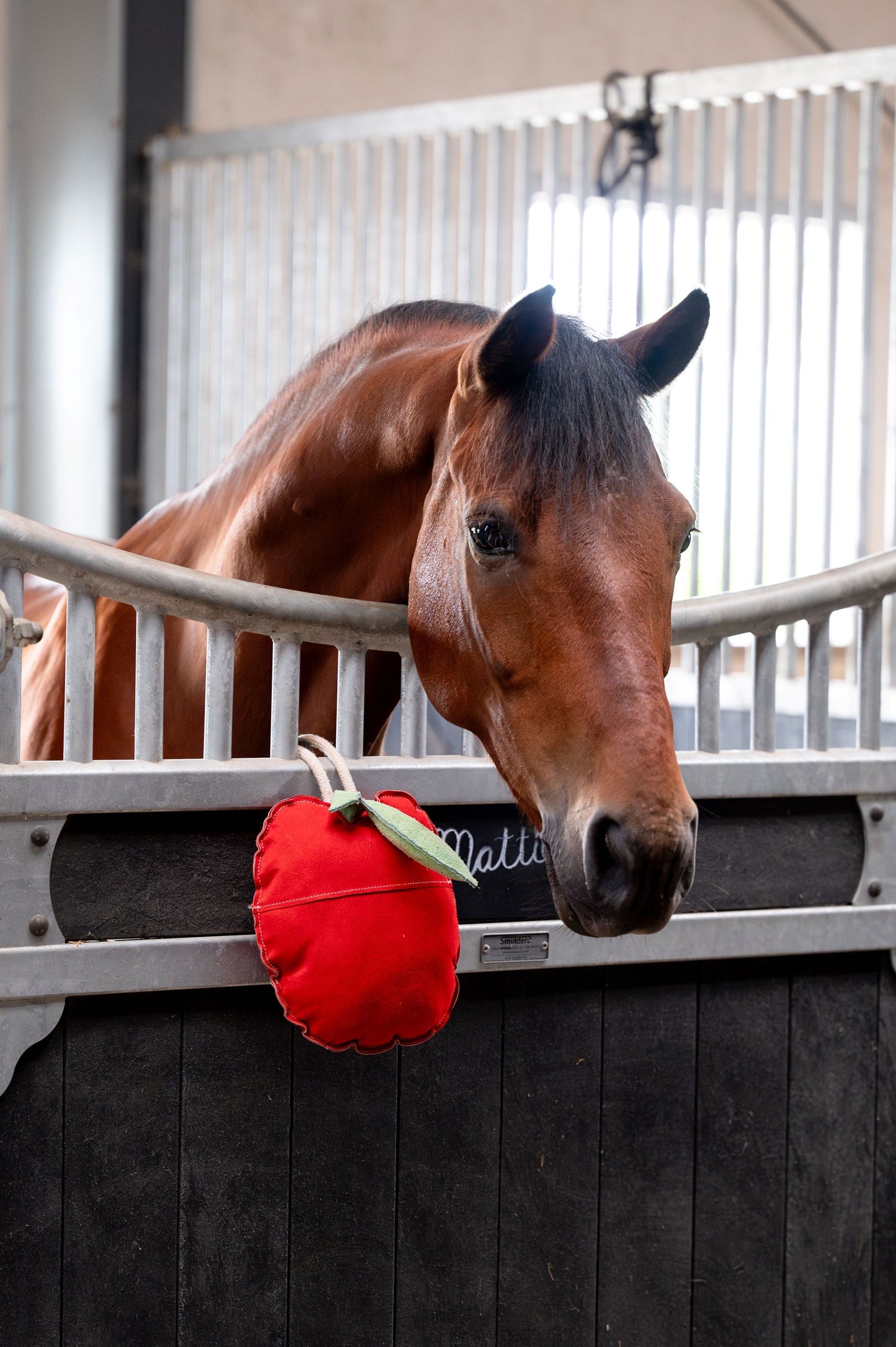 HB Showtime Horse toy