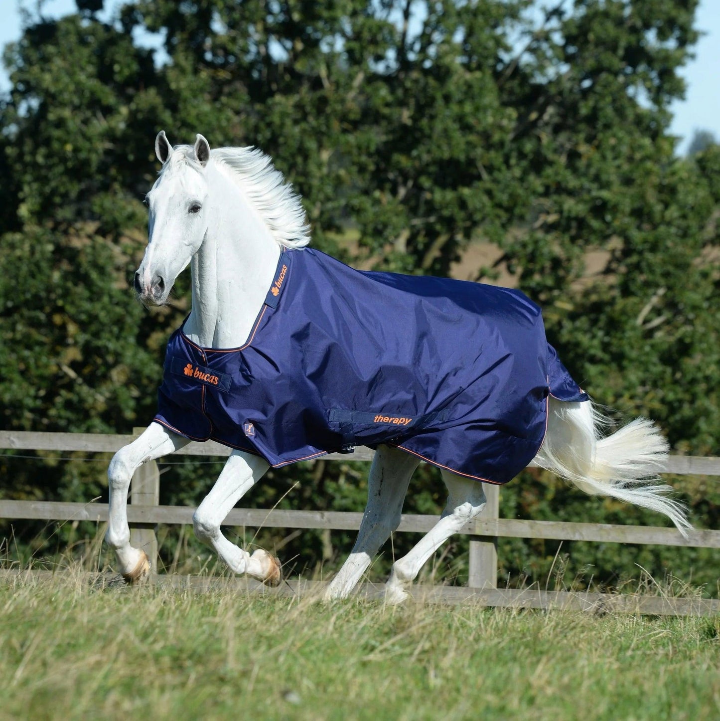 Bucas Therapy Turnout Light - Nena's Pets
