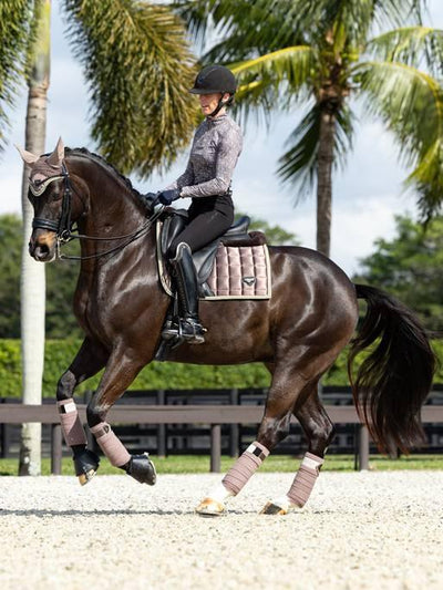 Lemieux 24SS Merino Loire Classic Dressage Square - Nena's Pets