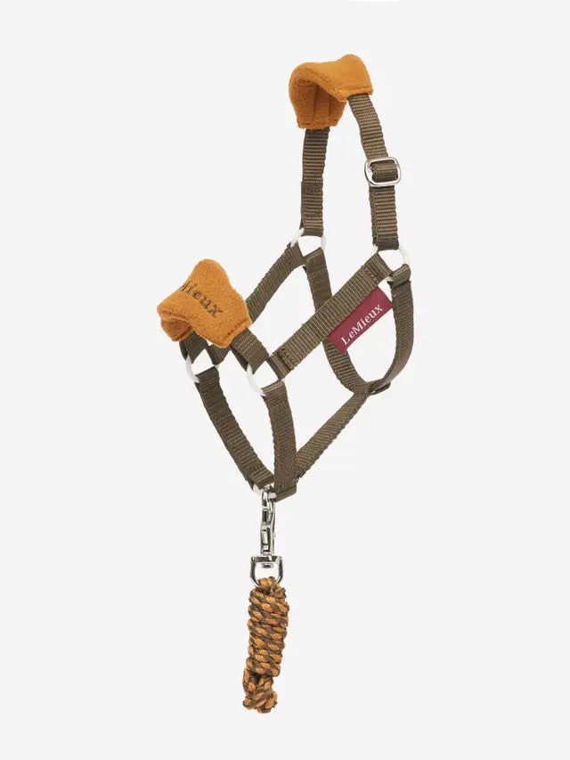 Lemieux Hobby Horse halster