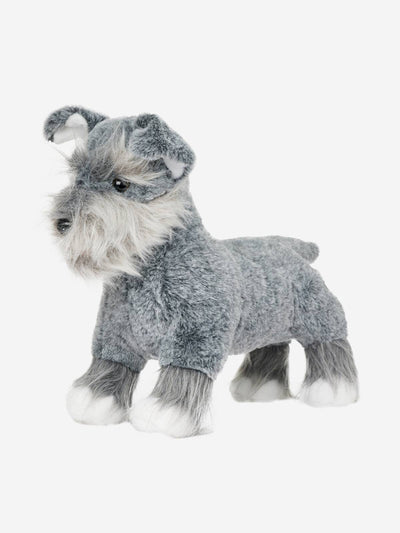 Toy Puppy's verschillende soorten - Nena's Pets
