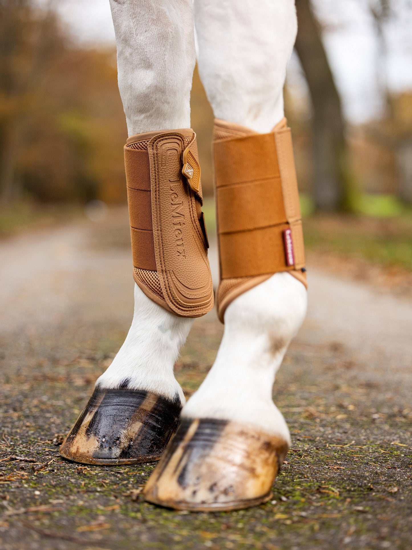LeMieux Arika mesh brushing boots - Nena's Pets