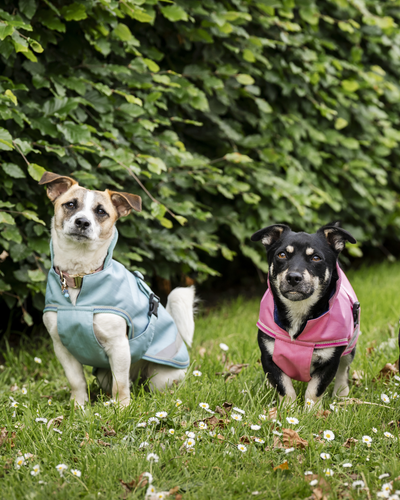 Bucas Freedom Dog Rug Regendeken