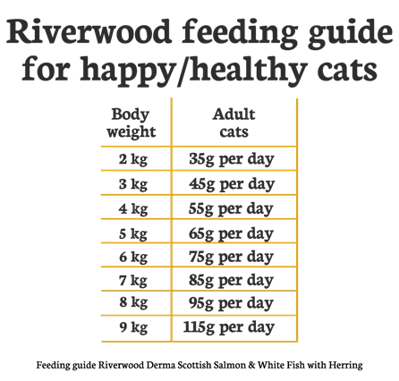 Riverwood Kattenbrok - Nena's Pets