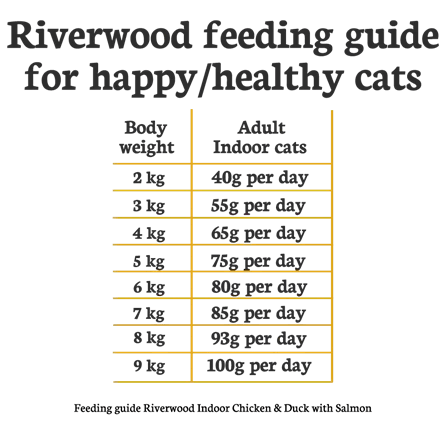 Riverwood Kattenbrok - Nena's Pets