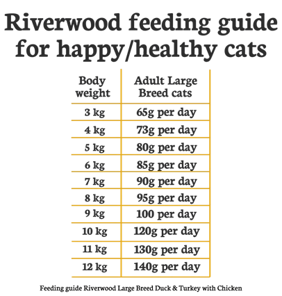 Riverwood Kattenbrok - Nena's Pets