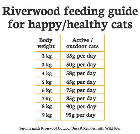 Riverwood Kattenbrok - Nena's Pets
