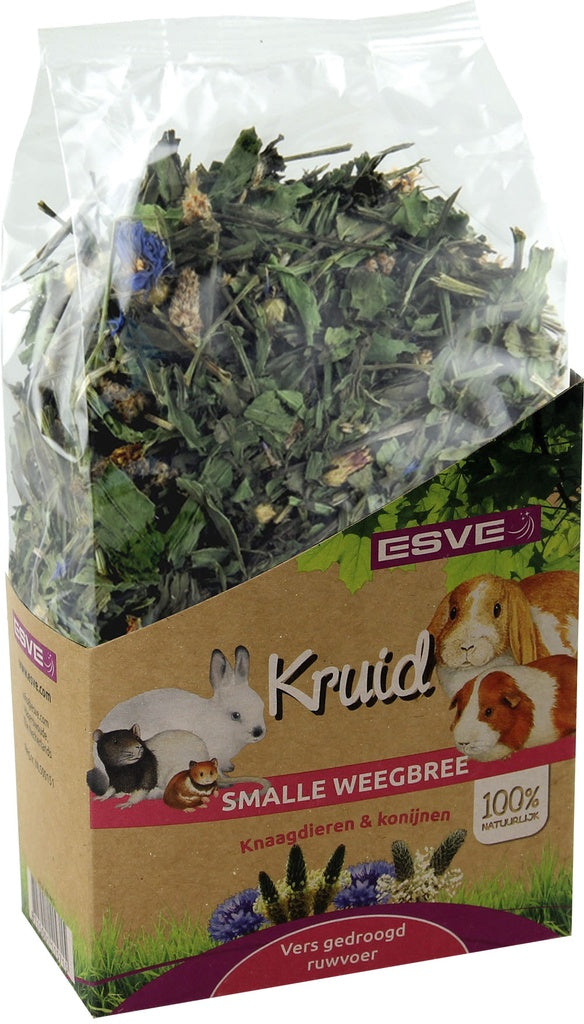 Esve kruid