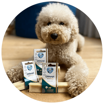 Renske Chhurpi Himalaya Kauwkluif - Nena's Pets