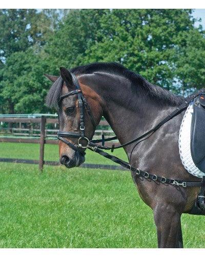 HB Bijzetteugel webband met elastiek - Nena's Pets