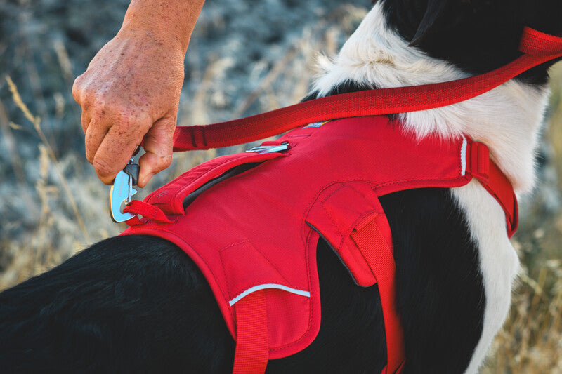Ruffwear Webmaster Harnas