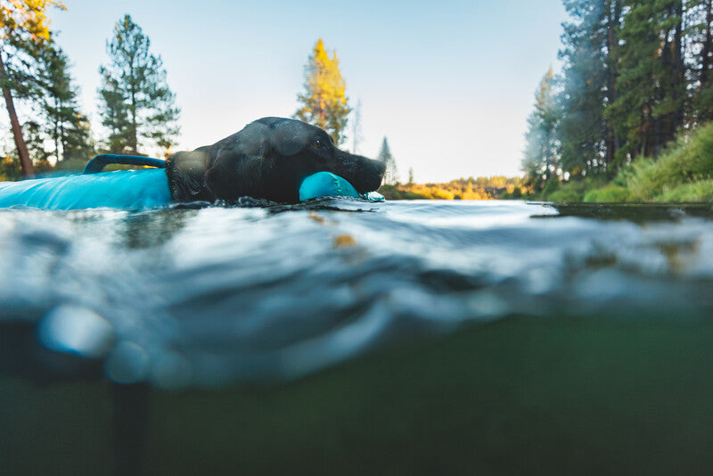 Ruffwear Confluence life jacket