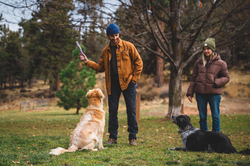 Ruffwear Gnawt a Stick '25