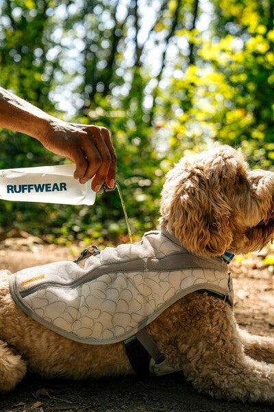 Ruffwear Swamp Cooler Cooling Dog Vest