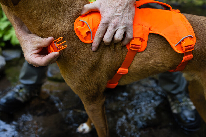 Ruffwear Webmaster Harnas