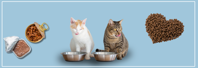 Natvoer of droogvoer voor je kat? Tips & advies van Nena’s Pets