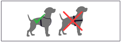Y-tuig vs U-tuig: Comfort, Pasvorm & Veiligheid voor je Hond