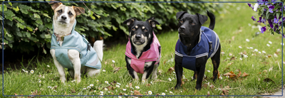 Regenjas voor kleine honden. Comfort & Pasvorm.