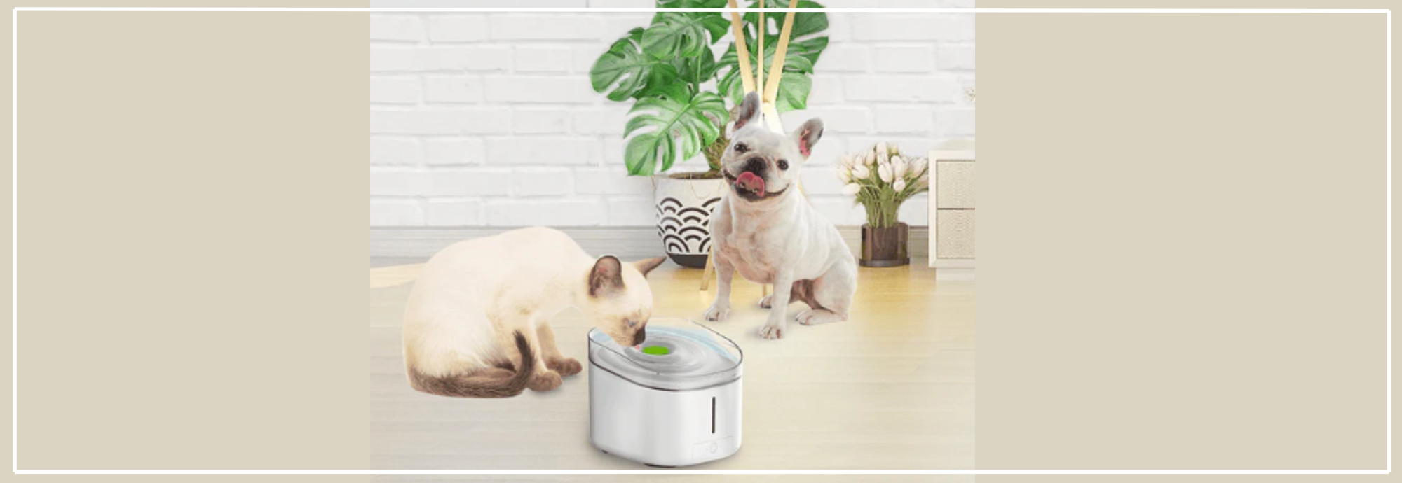 Drinkfontein voor hond en kat. Voordelen & gezond water.