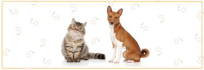 Welk ontwormmiddel past bij jouw hond of kat?