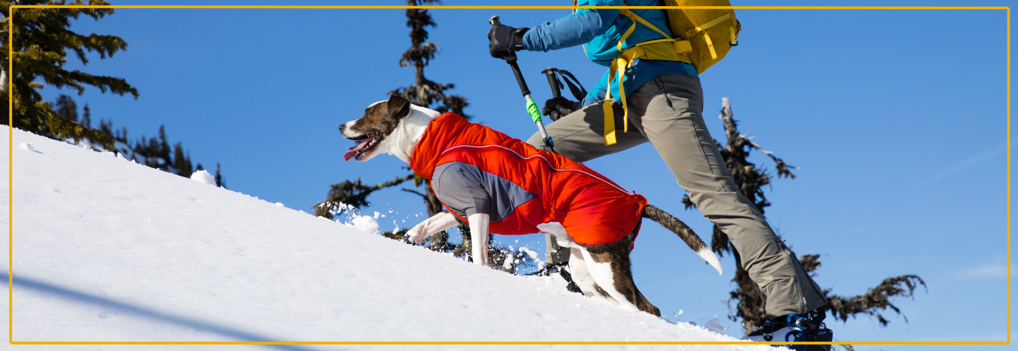 De warmste ruffwear hondenjassen voor de winter