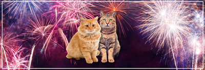 Buitenkatten en vuurwerk: veiligheid en rust.